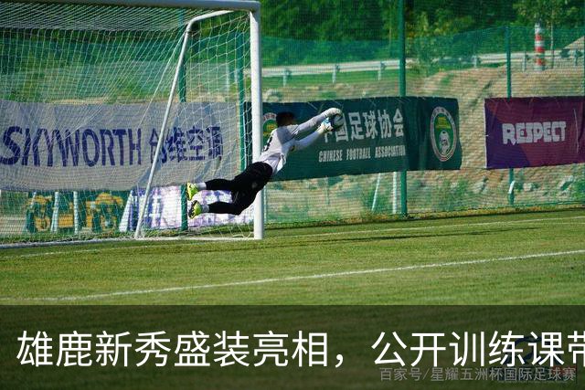 雄鹿新秀盛装亮相，公开训练课带来别样精彩